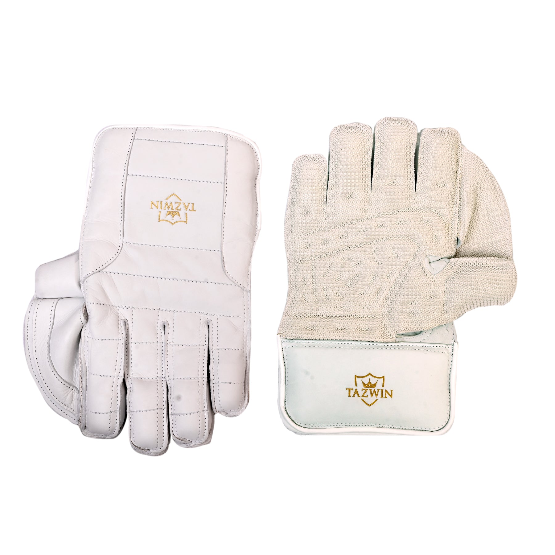 Tazwin Wicket-keeping Gloves