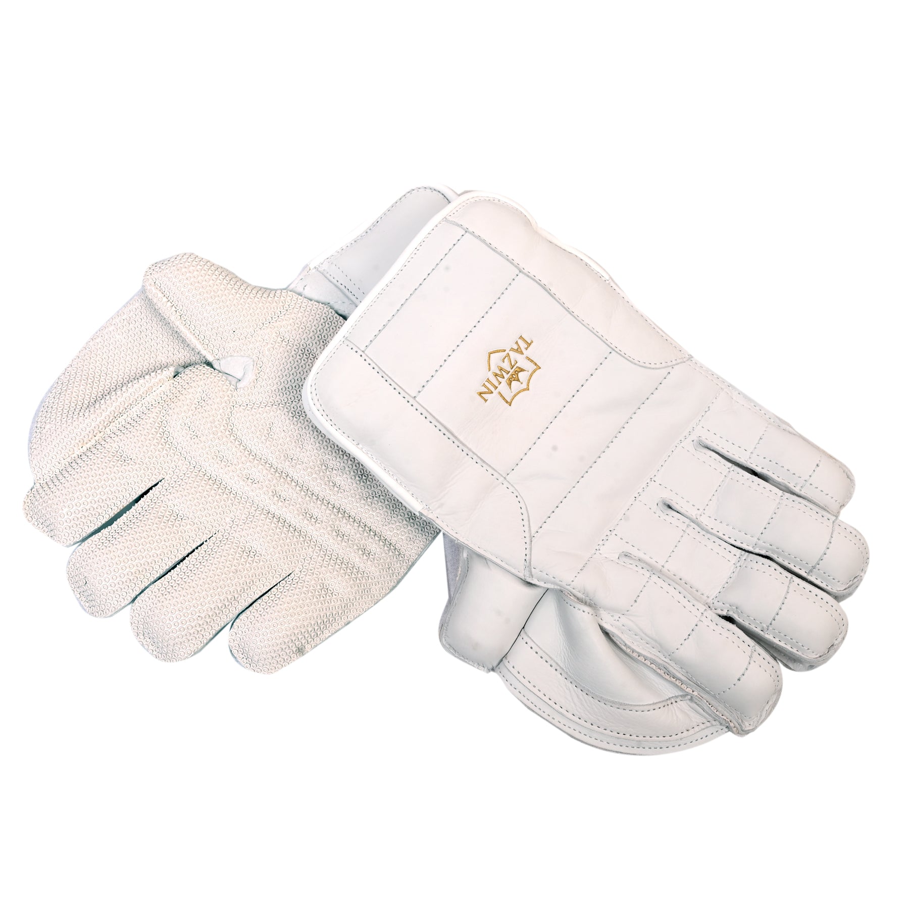 Tazwin Wicket-keeping Gloves