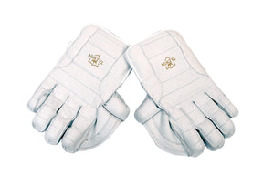 Tazwin Wicket-keeping Gloves