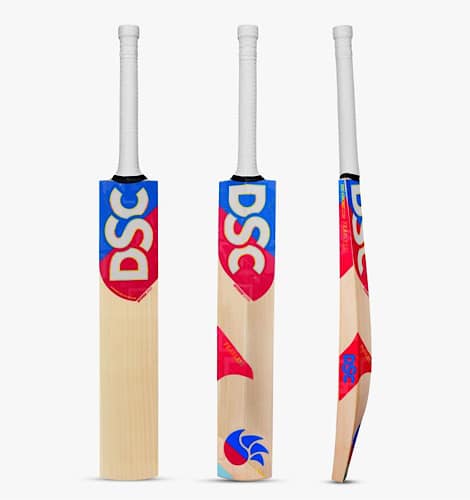 DSC Intense 5.0 - DSC English Willow Bat