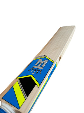 Tazwin Cyclone Kids Bat