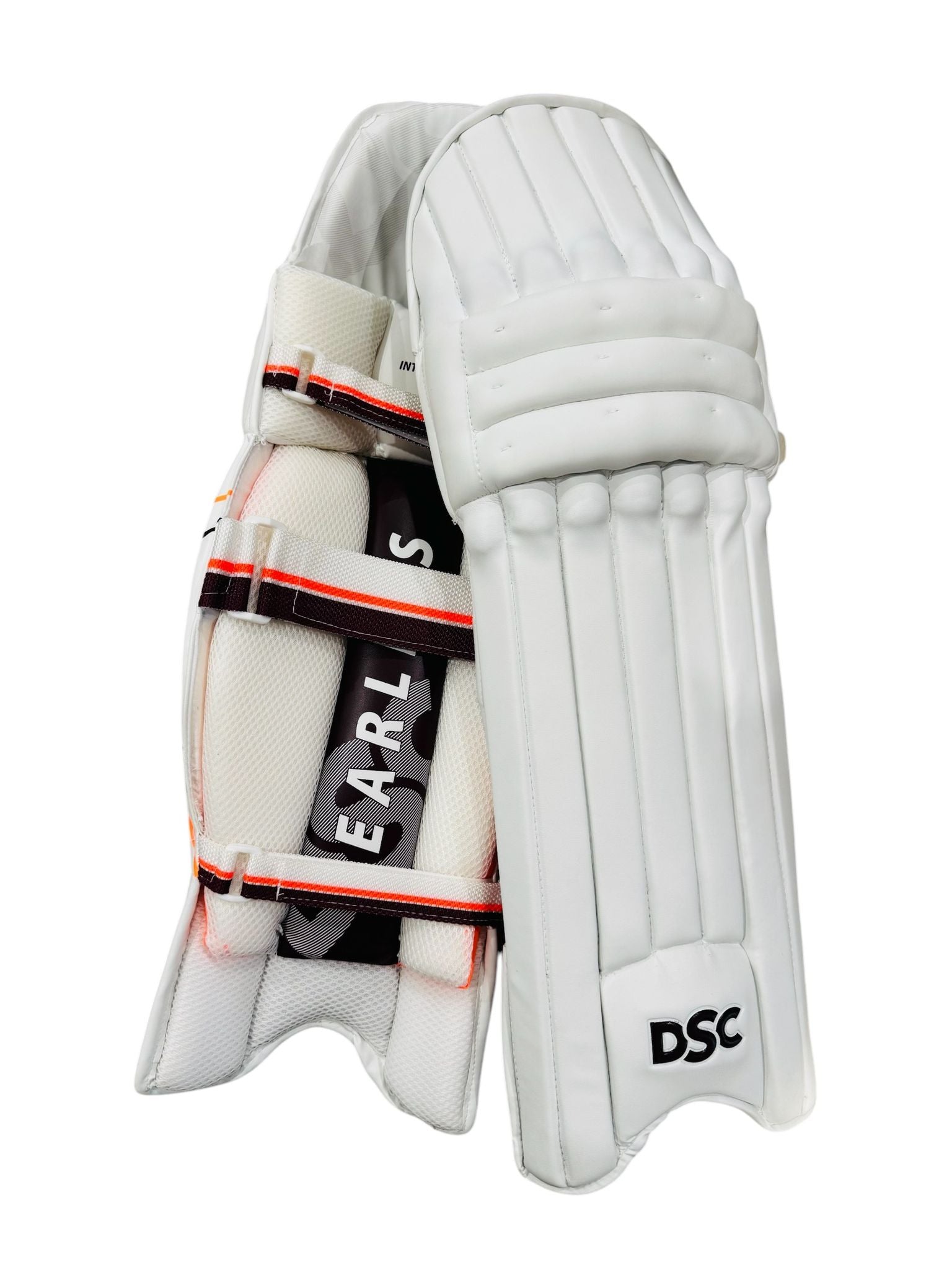 DSC Cricket kit bundle