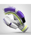 DSC Condor Raptor Cricket Batting Gloves