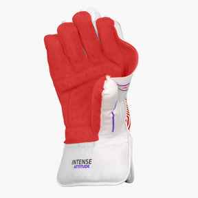 Intense Attitude Wicket Keeping Gloves