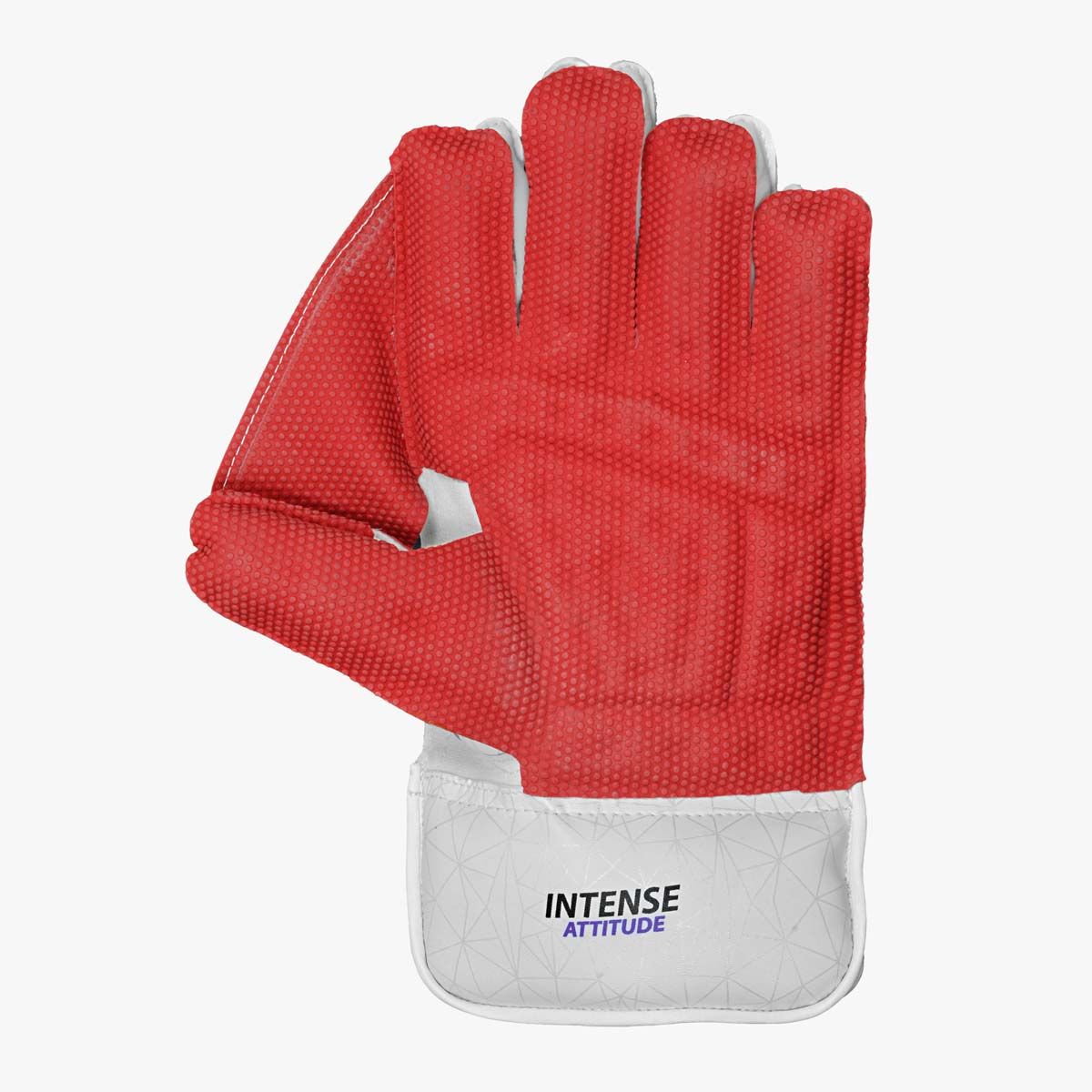 Intense Attitude Wicket Keeping Gloves