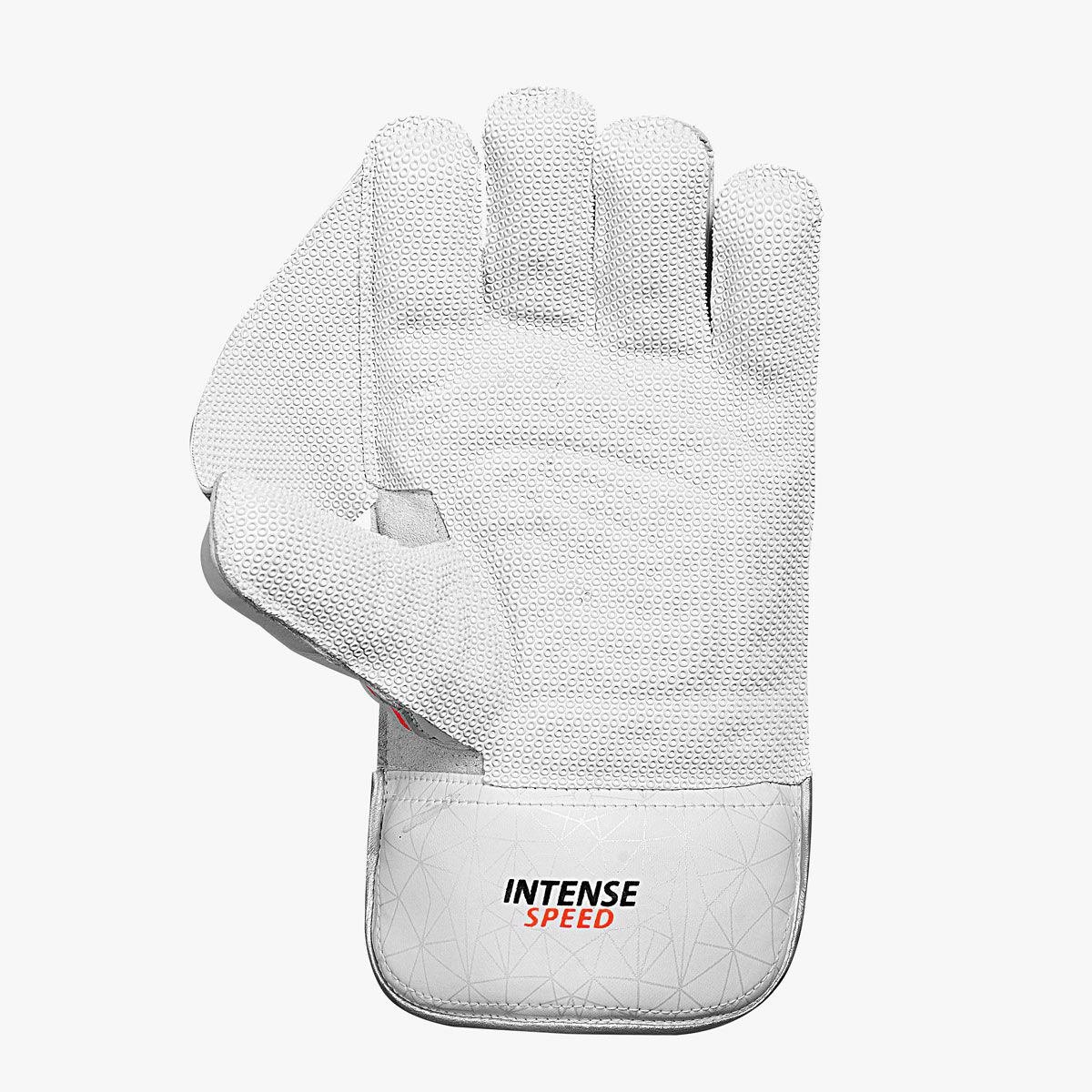 Intense Speed Wicket Keeping Gloves