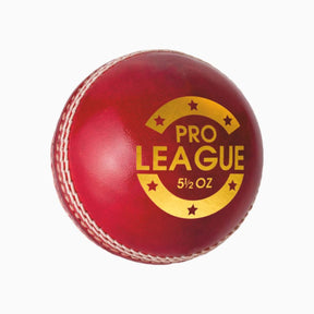 Pro League Leather Ball