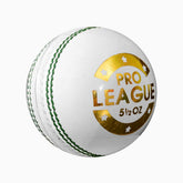 Pro League Leather Ball