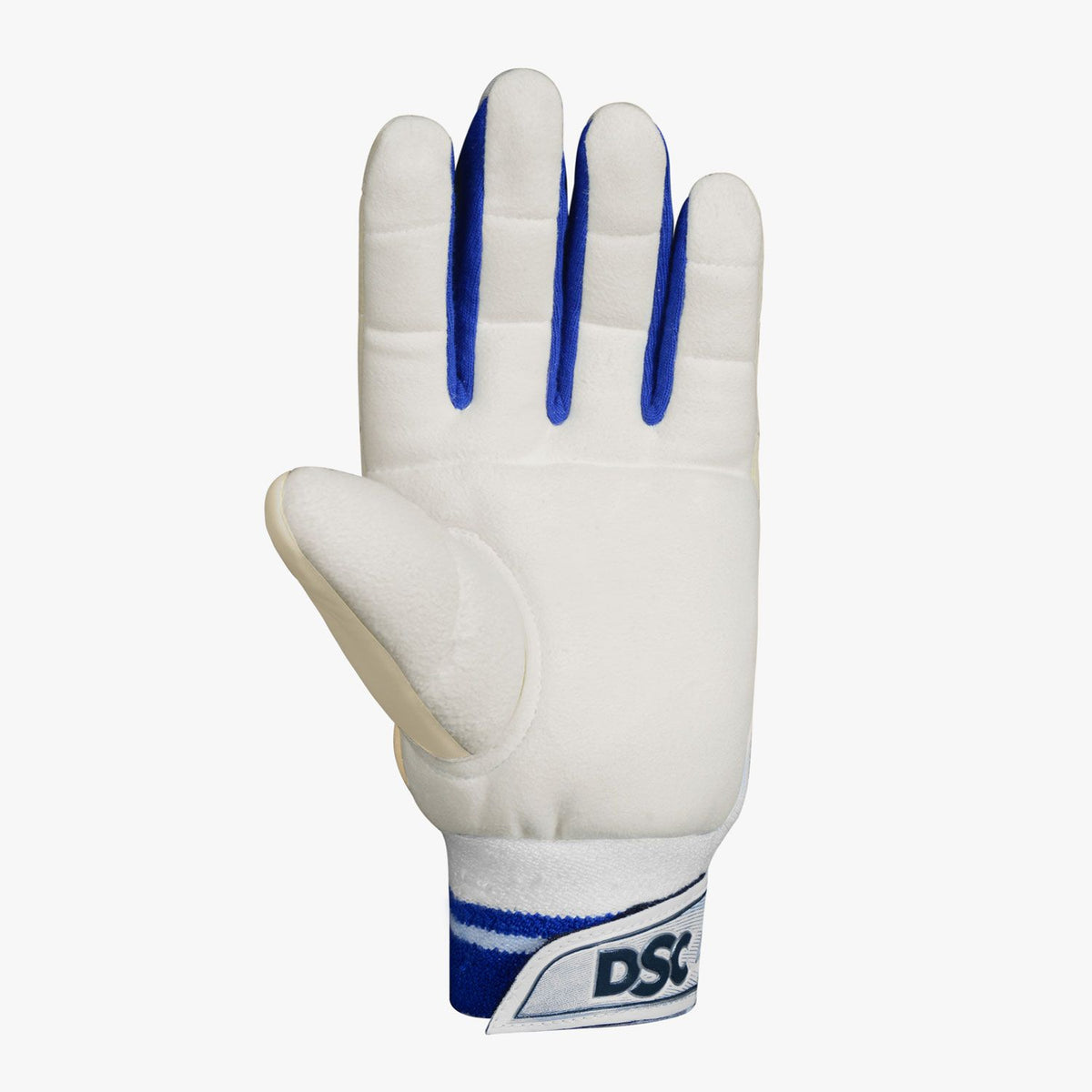 Players Limited Edition Wicket Keeping Gloves