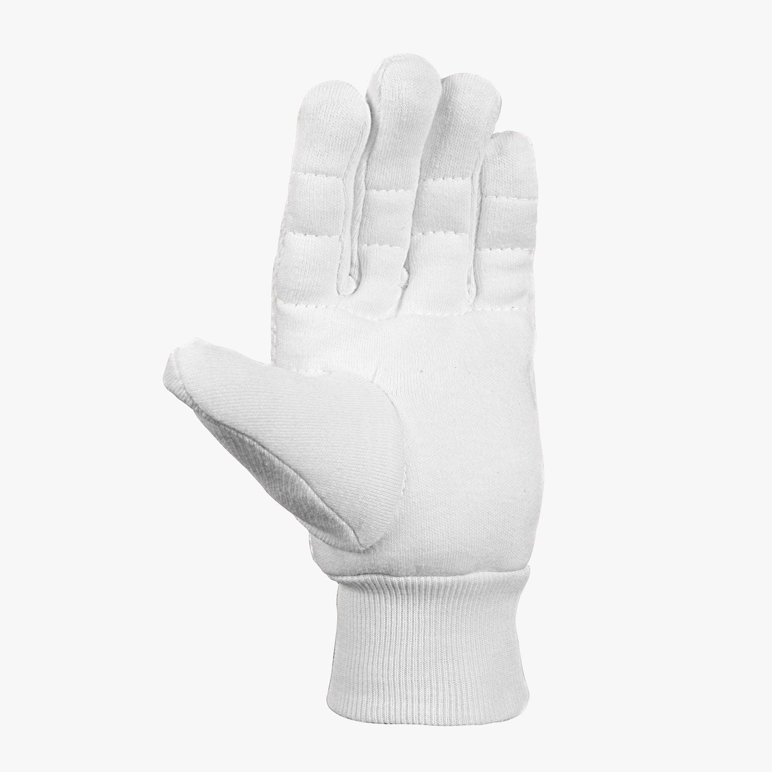 Surge Wicket Keeping Gloves